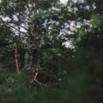 Sitka Gear Fanatic Jacket Whitetail / Optifade Elevated II - Image 7