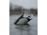 GHG Finisher Spitter Mallard Drake Duck Decoy - Image 3